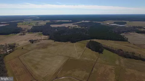 0 Ercel Timmons Rd, Willards, MD 21874 photo 7