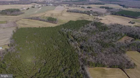 0 Ercel Timmons Rd, Willards, MD 21874 photo 36