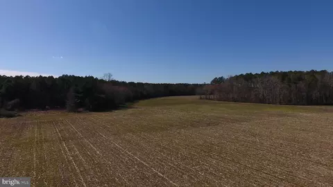 0 Ercel Timmons Rd, Willards, MD 21874 photo 15