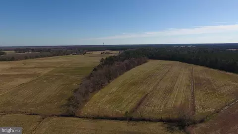 0 Ercel Timmons Rd, Willards, MD 21874 photo 30