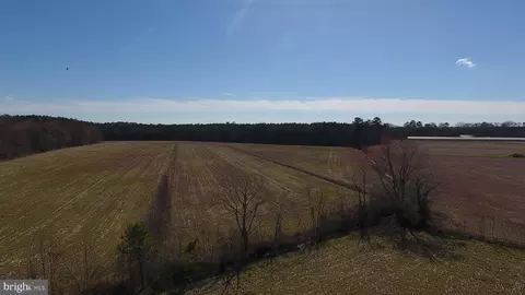 0 Ercel Timmons Rd, Willards, MD 21874 photo 28