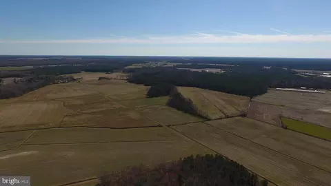 0 Ercel Timmons Rd, Willards, MD 21874 photo 5