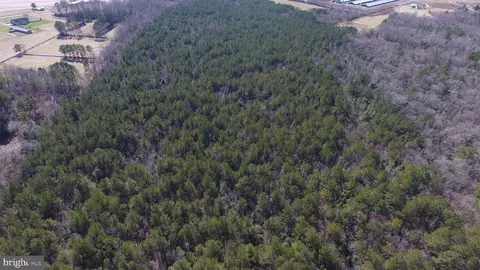 0 Ercel Timmons Rd, Willards, MD 21874 photo 33