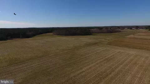 0 Ercel Timmons Rd, Willards, MD 21874 photo 13