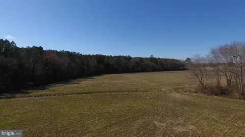 0 Ercel Timmons Rd, Willards, MD 21874 photo 17