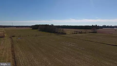 0 Ercel Timmons Rd, Willards, MD 21874 photo 2