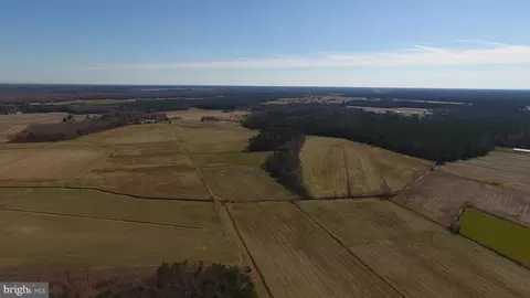 0 Ercel Timmons Rd, Willards, MD 21874 photo 4