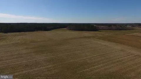 0 Ercel Timmons Rd, Willards, MD 21874 photo 41