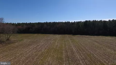 0 Ercel Timmons Rd, Willards, MD 21874 photo 22