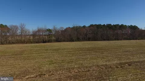 0 Ercel Timmons Rd, Willards, MD 21874 photo 23