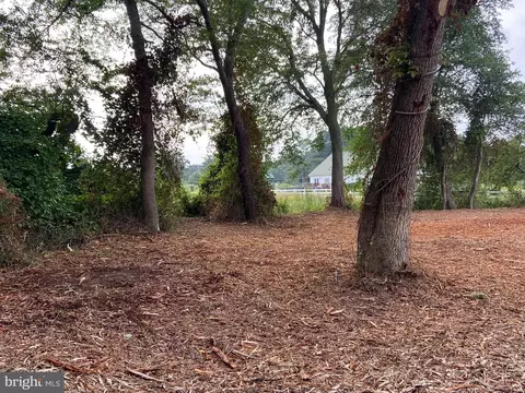0 Tyaskin Rd, Tyaskin, MD 21865 photo 3