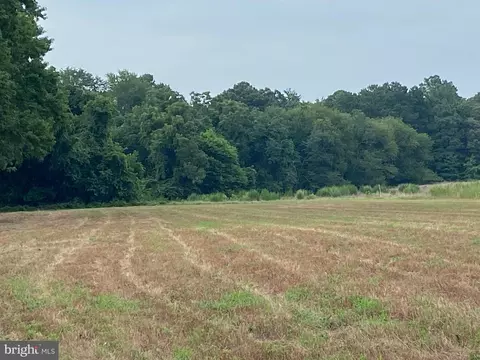 0 Tyaskin Rd, Tyaskin, MD 21865 photo 2