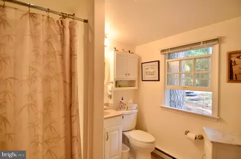 4398 Sunset Dr, Tyaskin, MD 21865 photo 16