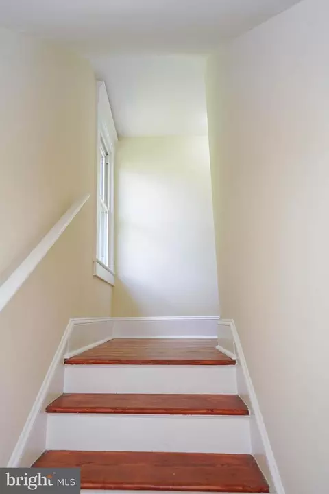 313 Hazel Ave, Salisbury, MD 21801 photo 23