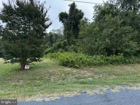 0 Lot 3 Nutter Rd, Nanticoke, MD 21840 photo 5