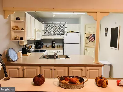 423 Troopers Way, Salisbury, MD 21804 photo 27
