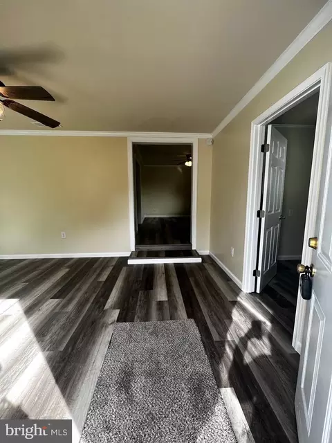 704 Olivia St, Salisbury, MD 21801 photo 5