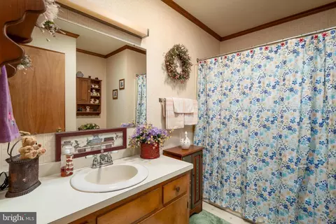 26467 Delmar Rd, Delmar, MD 21875 photo 24