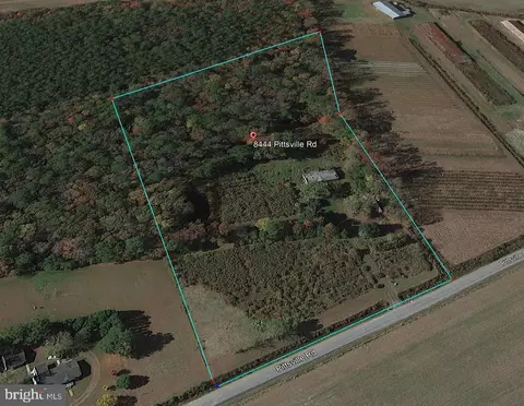 8444 Pittsville Rd, Parsonsburg, MD 21849