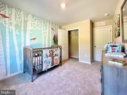 844 Tyne Loop, Salisbury, MD 21801 photo 29