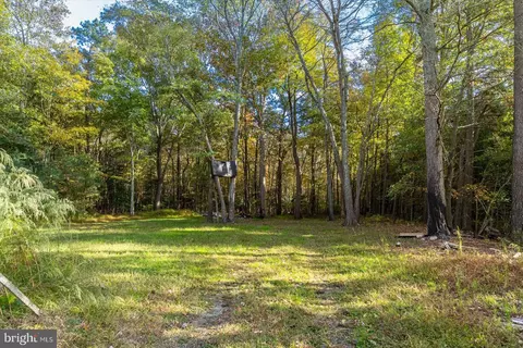 26571 Walnut Tree Rd, Eden, MD 21822 photo 21