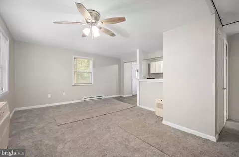 26571 Walnut Tree Rd, Eden, MD 21822 photo 4