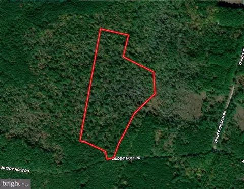 Muddy Hole Road, Tyaskin, MD 21865