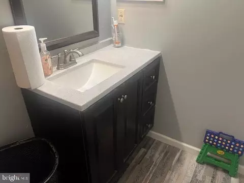Bath - 100 Chestnut Tree Rd, Hebron, MD 21830 photo 2 of 2