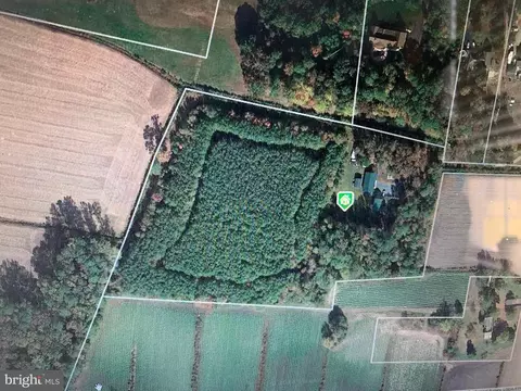 35991 Cobbs Hill Rd, Willards, MD 21874 photo 70