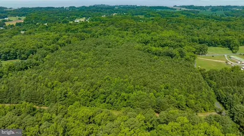 0 Jesterville Rd, Tyaskin, MD 21865 photo 6