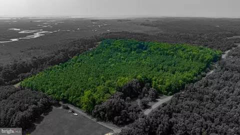 0 Jesterville Rd, Tyaskin, MD 21865 photo 2