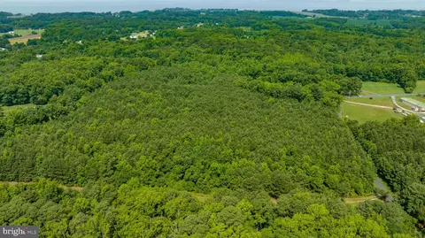 0 Jesterville Rd, Tyaskin, MD 21865 photo 16