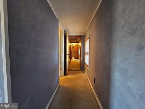 Other - 35400 Tingle Rd, Pittsville, MD 21850 photo 10 of 13