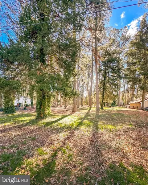 620 Douglas Rd, Salisbury, MD 21801 photo 2