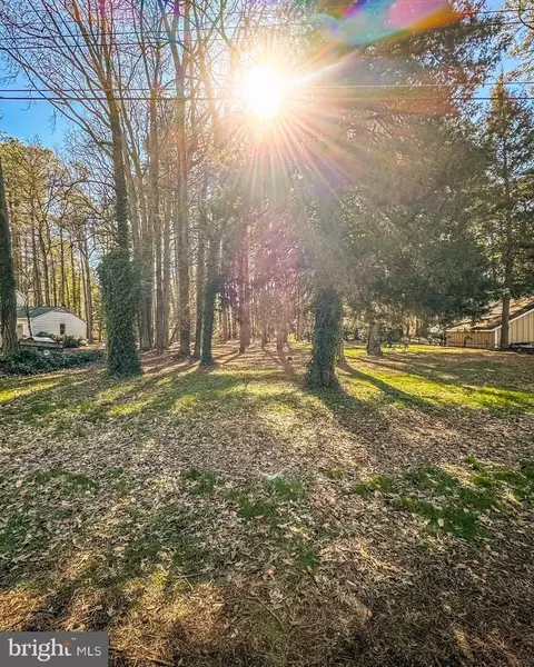 620 Douglas Rd, Salisbury, MD 21801 photo 3