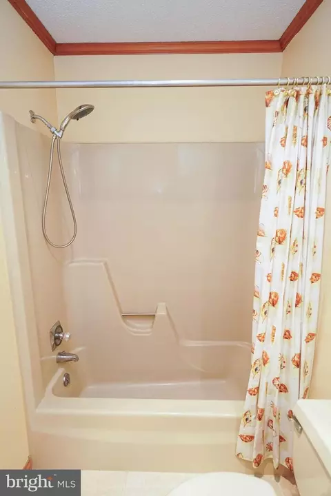 Bath - 1008 Baccharis Dr, Salisbury, MD 21804 photo 4 of 4