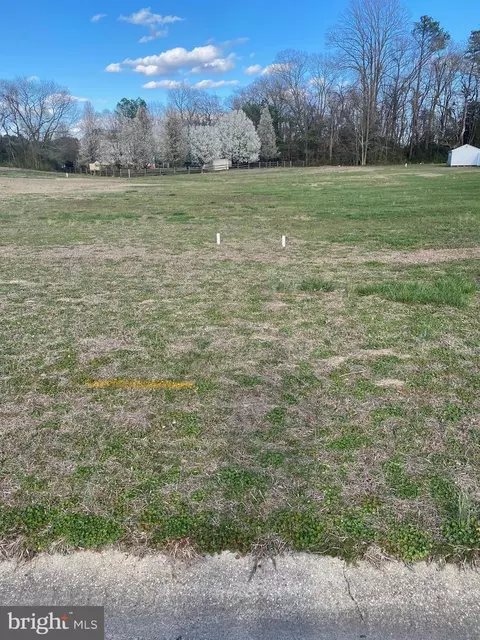 0 Shadow Ln, Delmar, MD 21875 photo 3