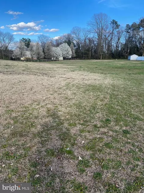 0 Shadow Ln, Delmar, MD 21875 photo 4