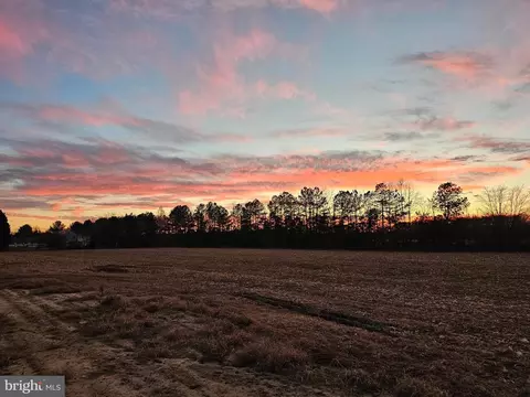 lot1 Royal Tern Dr, Delmar, MD 21875