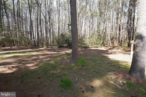 Exterior - 4892 Cardinal Dr, Salisbury, MD 21804 photo 5 of 7