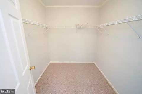 4340 Ramblin Rd, Salisbury, MD 21804 photo 24