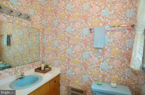 Bath - 31035 Carioca Rd, Delmar, MD 21875 photo 2 of 3