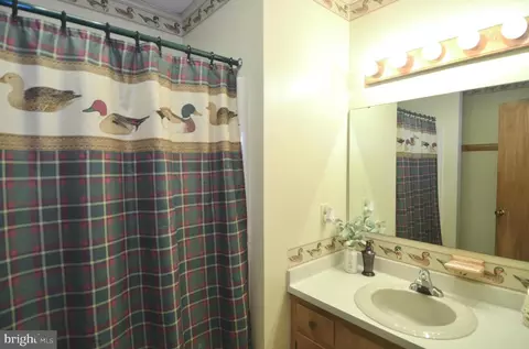 Bath - 31035 Carioca Rd, Delmar, MD 21875 photo 3 of 3