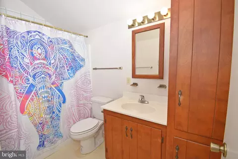 Bath - 30430 W Rustic Dr, Salisbury, MD 21804 photo 3 of 4
