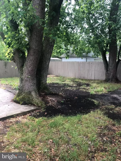 Exterior - 406 Venton Pl, Salisbury, MD 21804 photo 2 of 3