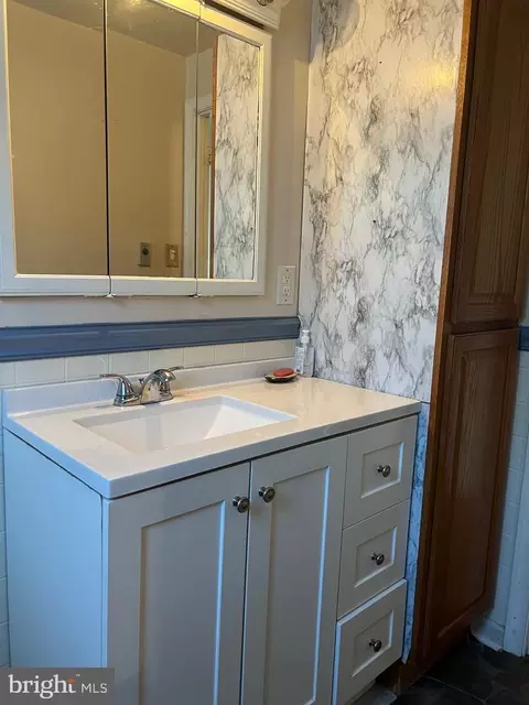 Bath - 8669 Jersey Rd, Salisbury, MD 21801 photo 2 of 2