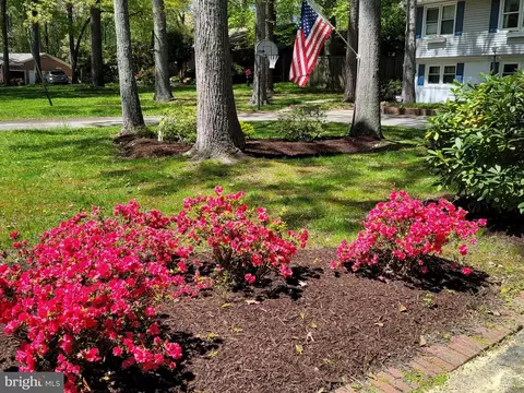 Exterior - 609 Twin Tree Rd, Salisbury, MD 21801 photo 5 of 12