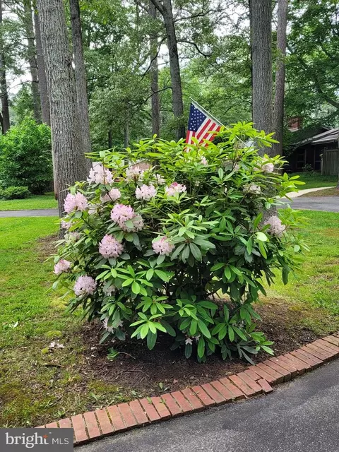 Other - 609 Twin Tree Rd, Salisbury, MD 21801 photo 14 of 15