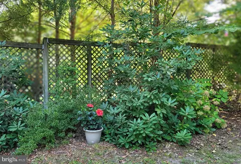 Exterior - 609 Twin Tree Rd, Salisbury, MD 21801 photo 12 of 12