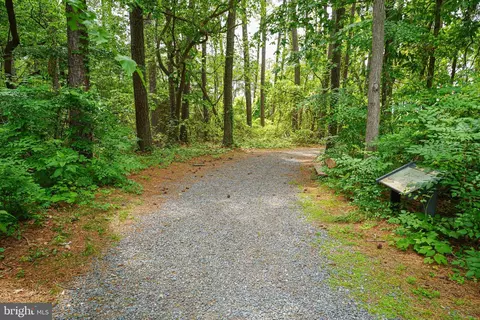 Other - 20240 Nanticoke Rd, Nanticoke, MD 21840 photo 16 of 21